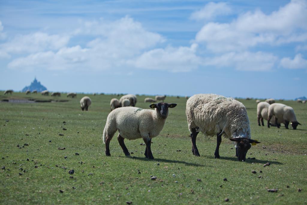 מלון Mont-Saint-Michel Le Mouton Blanc מראה חיצוני תמונה